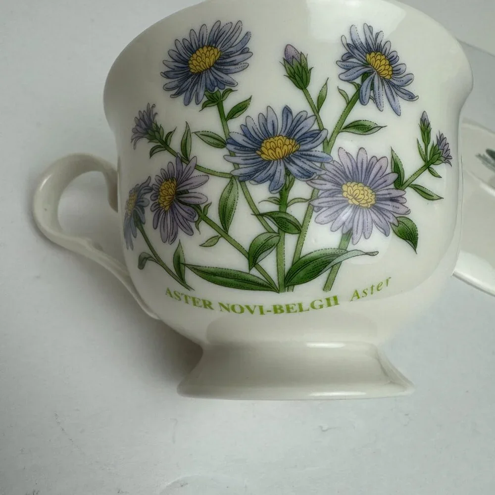 PORTMEIRION Botanic Garden Teacup & Sauser Collection 